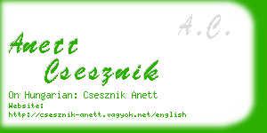 anett csesznik business card